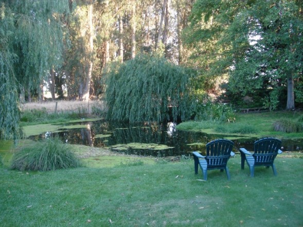 The Lake